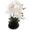 Artificial White Phalaenopsis Orchid Arrangement | 18-Inch | Elegant Black Ceramic Round Vase with Lifelike Silk Blooms & Latex Green Foliage | Table Centerpieces | Home & Office Decor